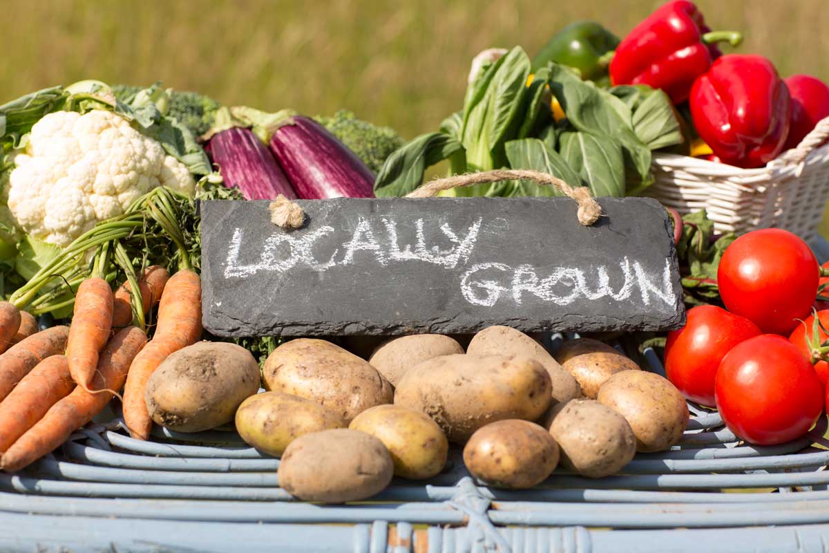organic vegetables at a farmers market