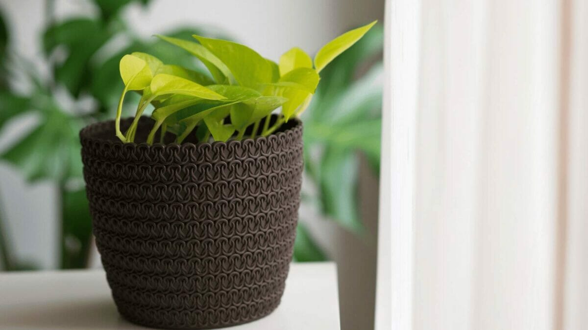 neon pothos plant in a brown pot