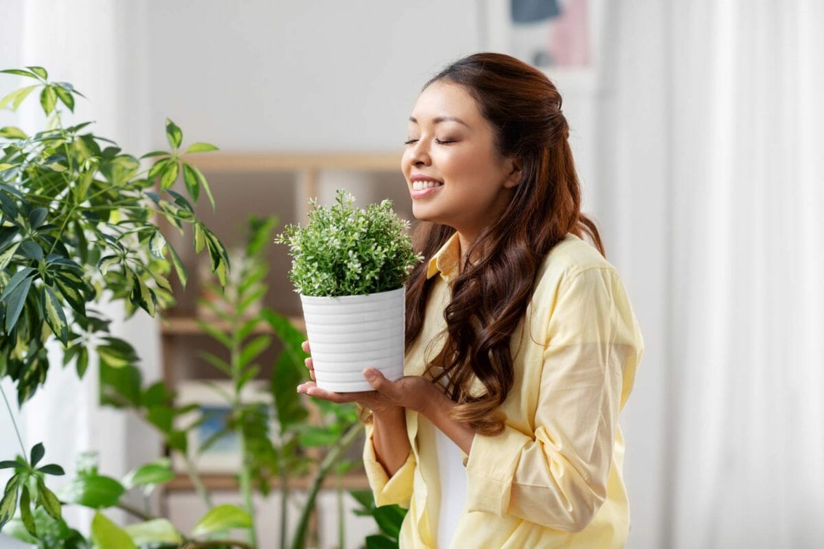 air purifying indoor houseplants, woman smelling.