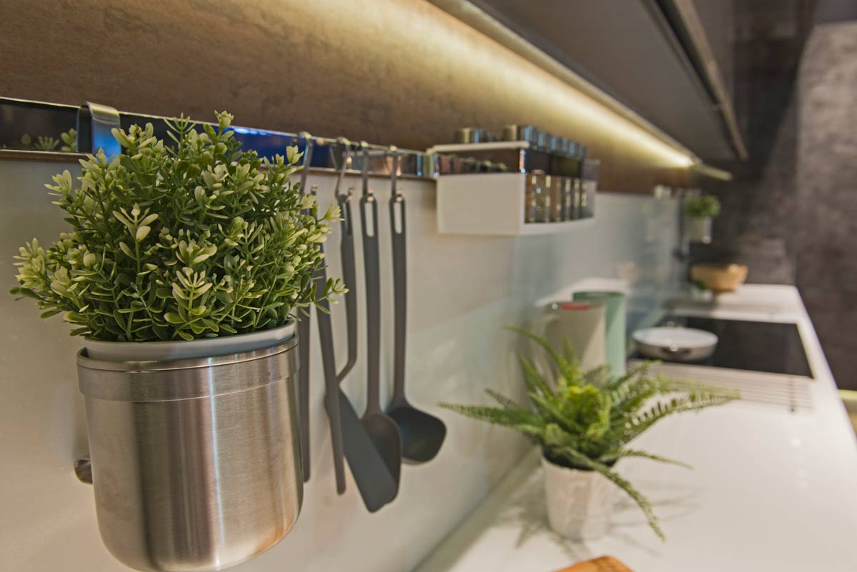 herb plant growing in a windowless kitchen room with a grow light