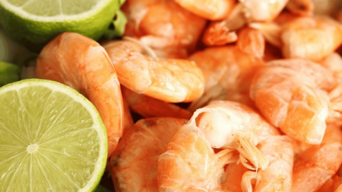 shrimp 