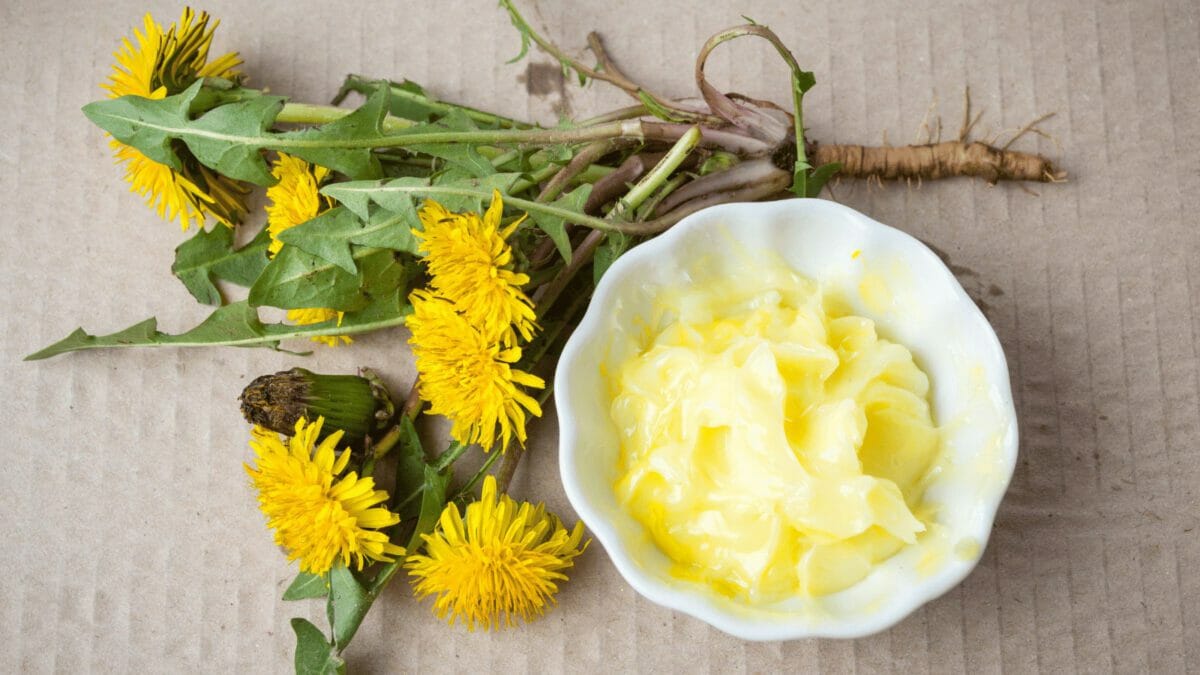 dandelion flowers and salve