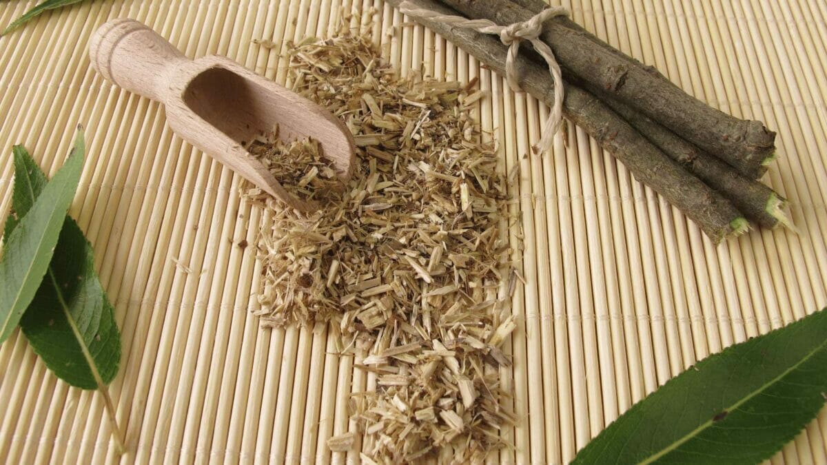willow bark tea