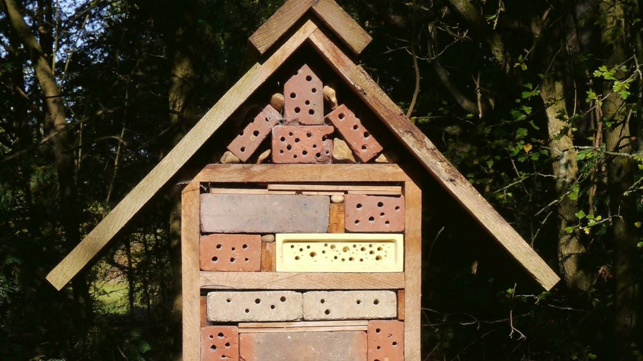 Bee Bricks Tutorial Bee Bricks - Building a Buzz: Genius, or Worst Idea Ever?