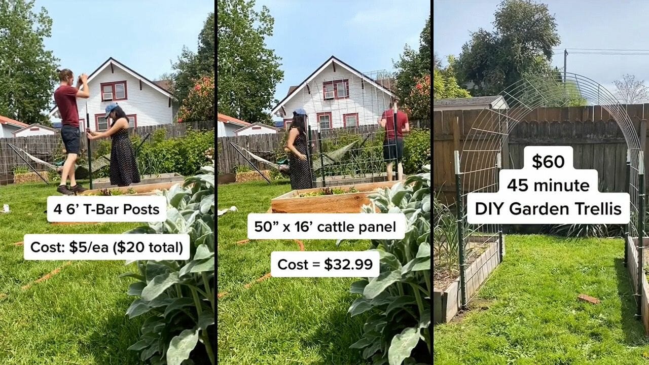stages of diy garden trellis project