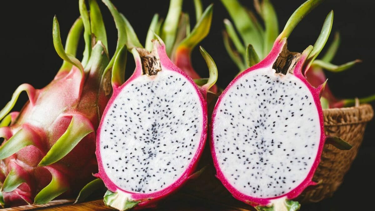 dragon fruit