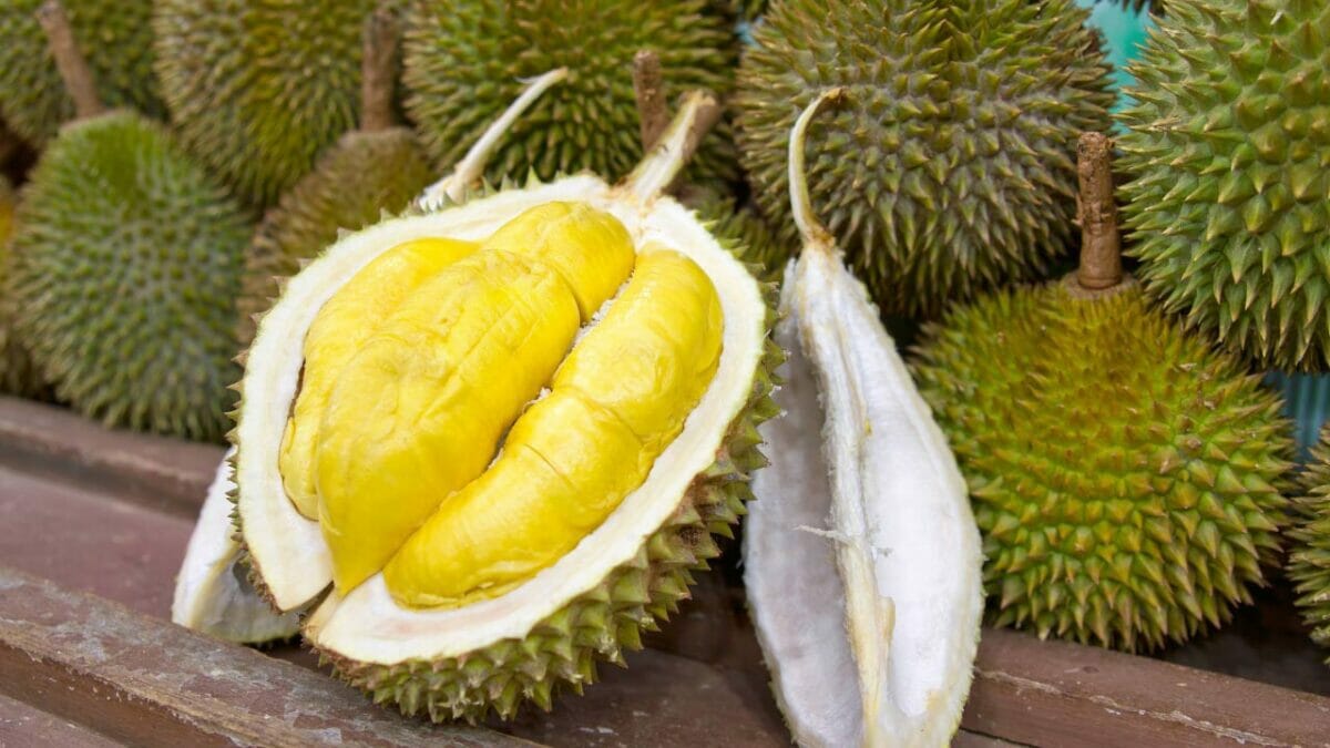 15 Beautiful but Smelly Plants That Could Be Stinking Up Your Yard - durian fruit dp3867259