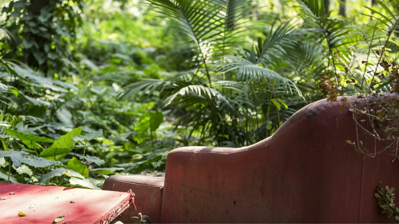 Abandoned couch