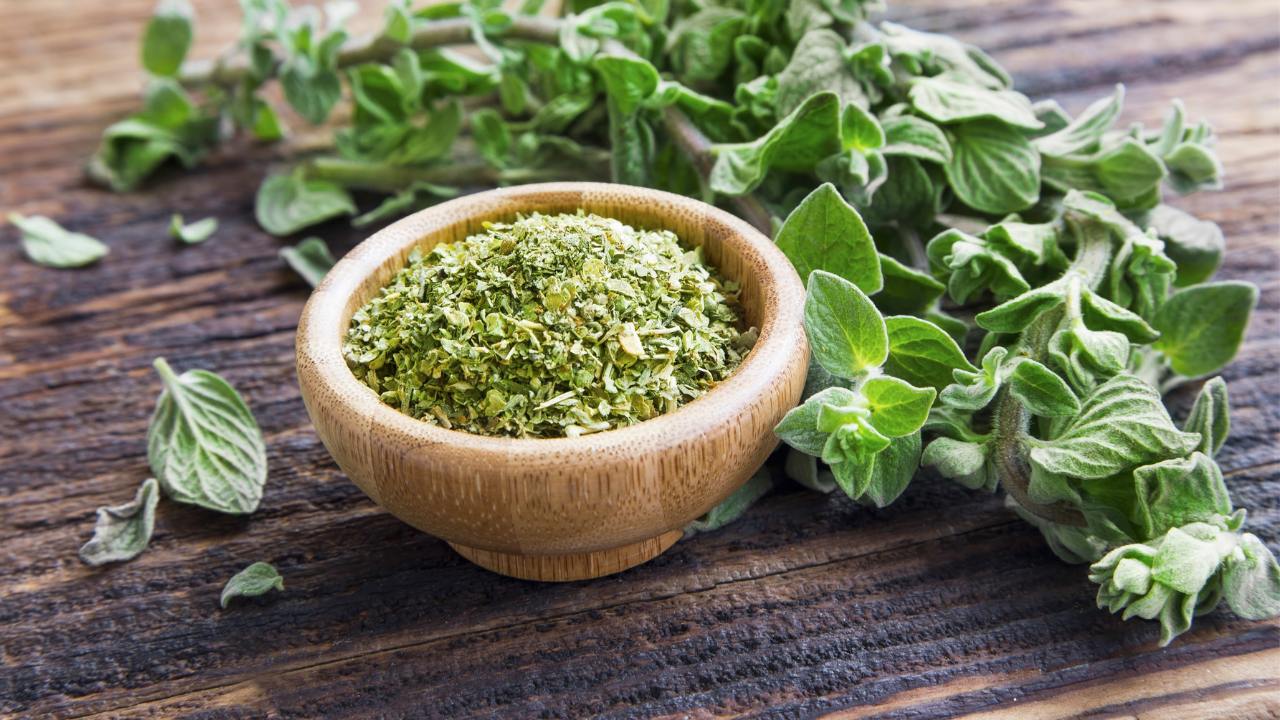 oregano herb