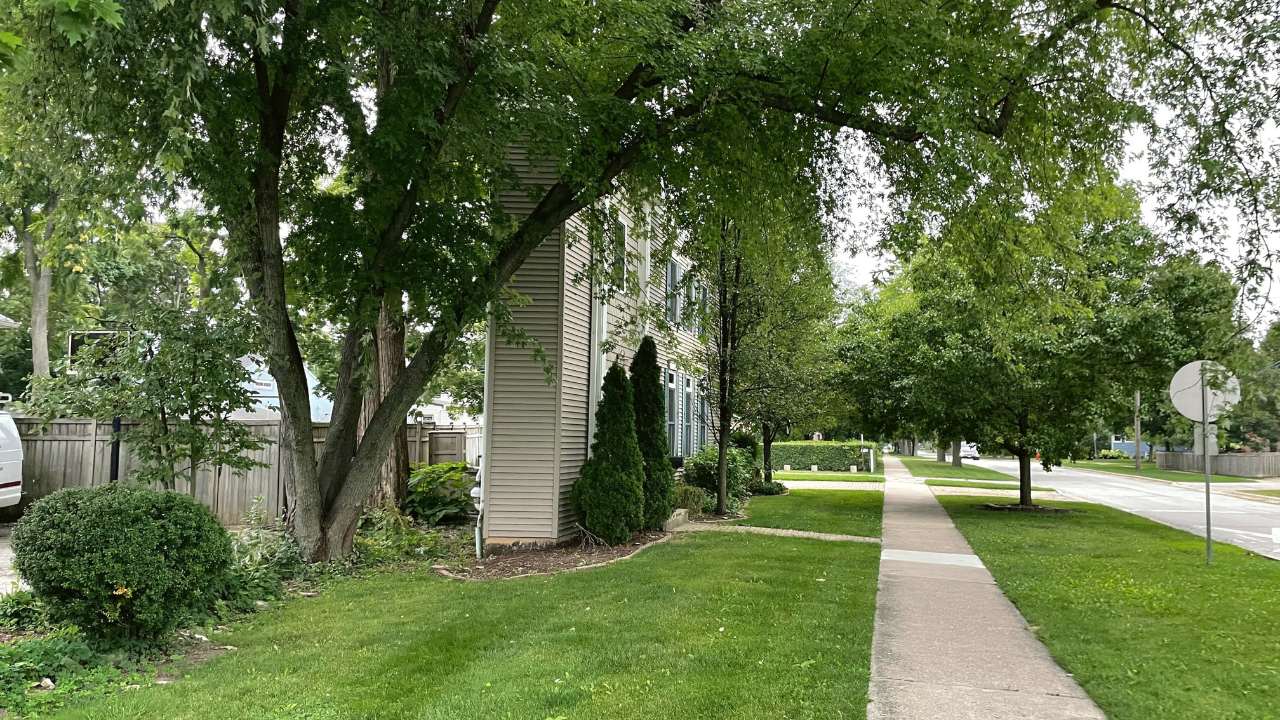 skinny house