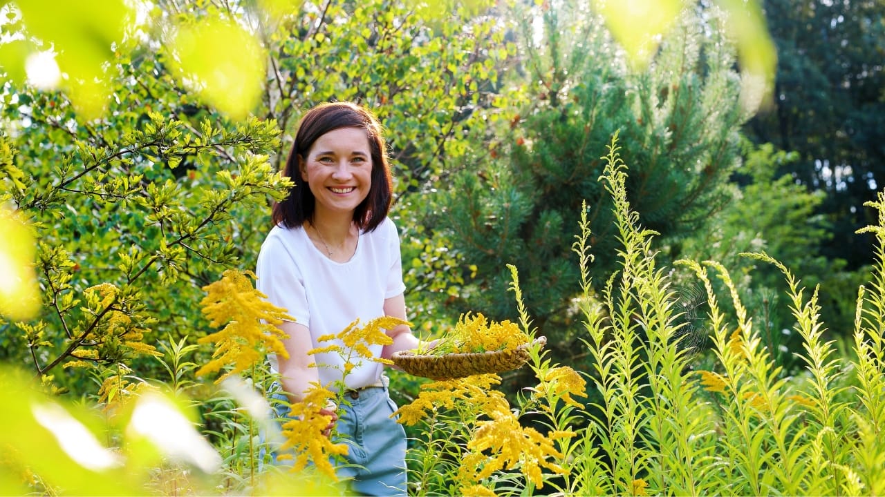 picking goldenrod