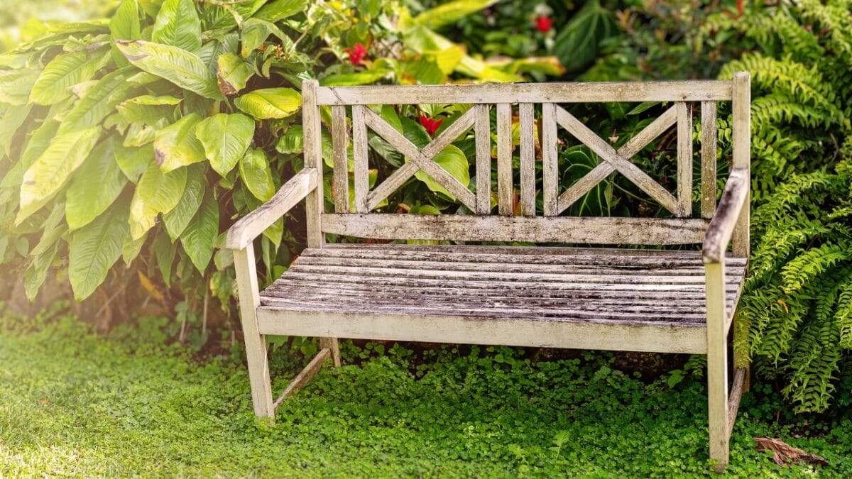 20 Things to Cleanup For Your Garden’s Fresh Start - Garden Furniture dp300996198
