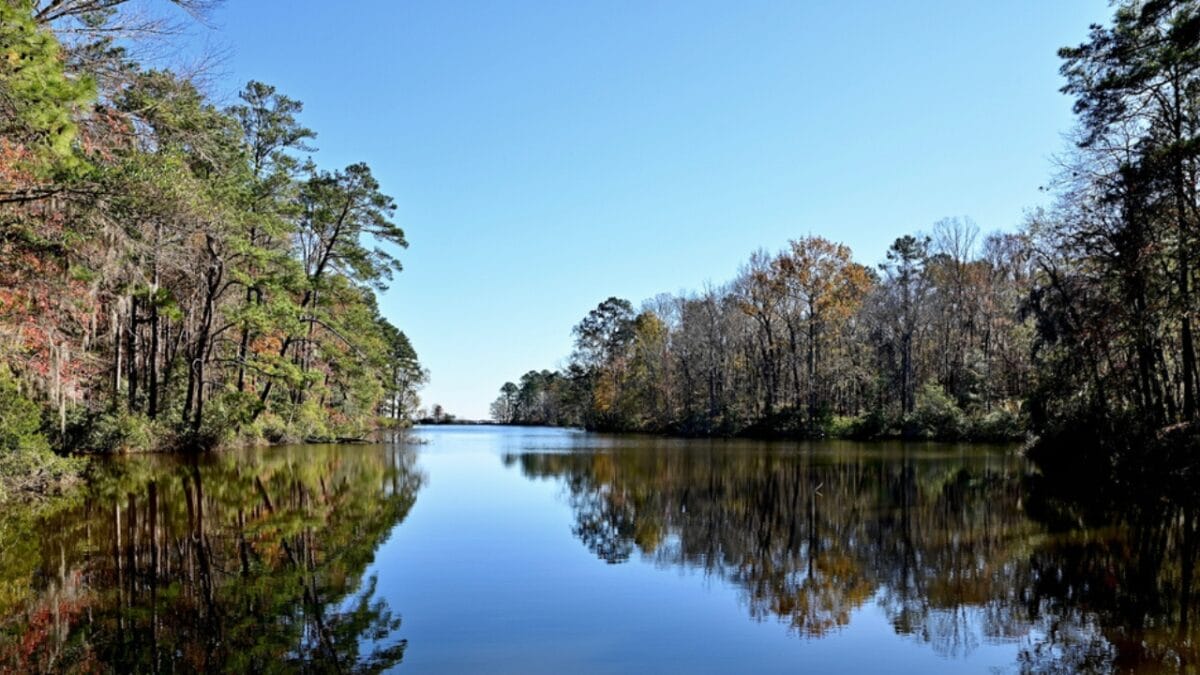 13 Alligator-Filled Lakes in the United States - Lake Marion ss1868111404