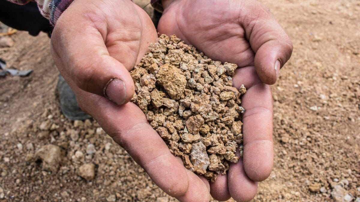 20 Things to Cleanup For Your Garden’s Fresh Start - bad soil ss427702348