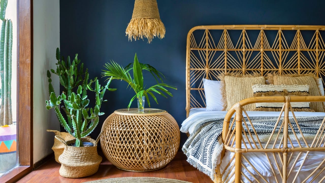 Say Hello to the Tallest Grass in the World - bamboo ss1726526740