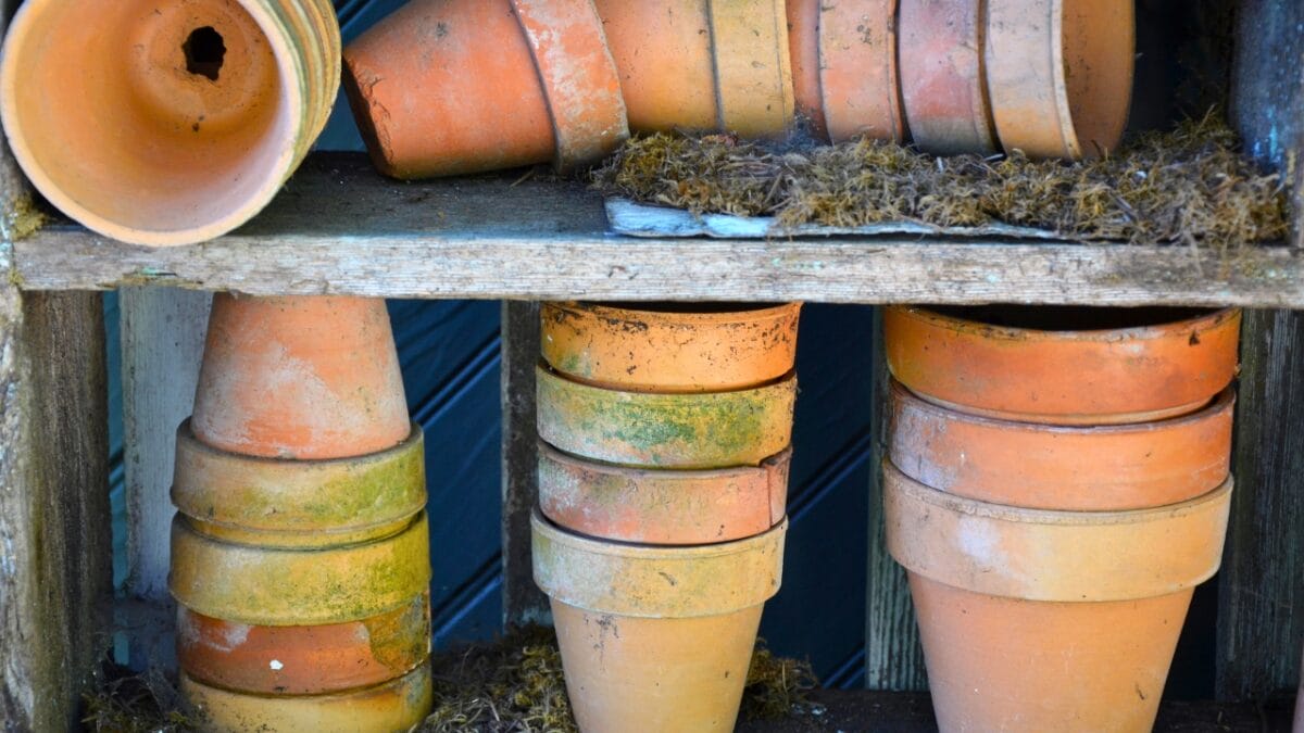 20 Things to Cleanup For Your Garden’s Fresh Start - clay planters dp10793614