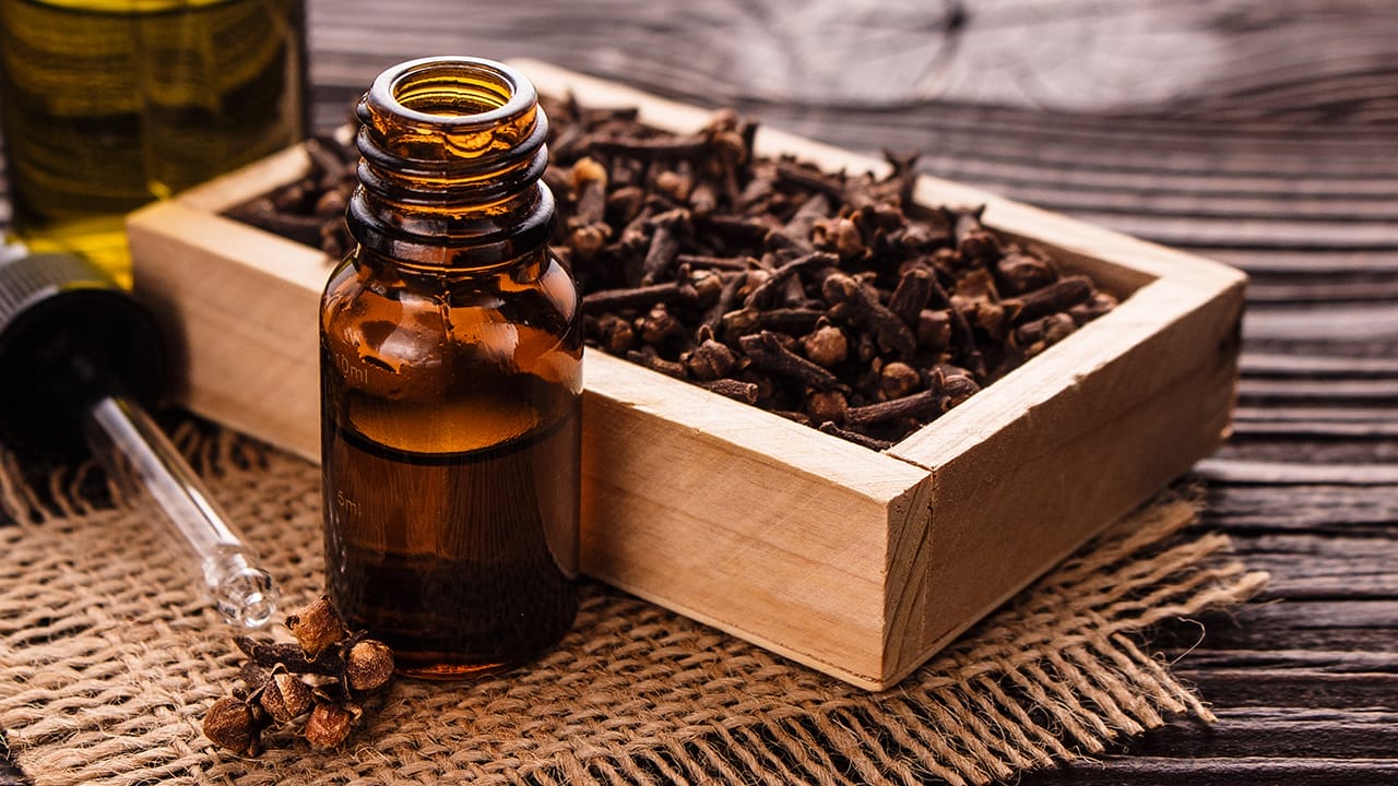 14 Natural Scents That Repel Mosquitoes: A Buzz-Free Summer Awaits - clove oil ss796682230