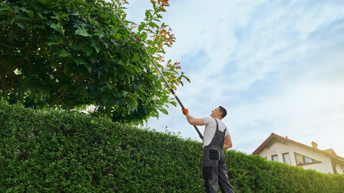 20 Things to Cleanup For Your Garden’s Fresh Start - man cutting tree branches ss2150434447