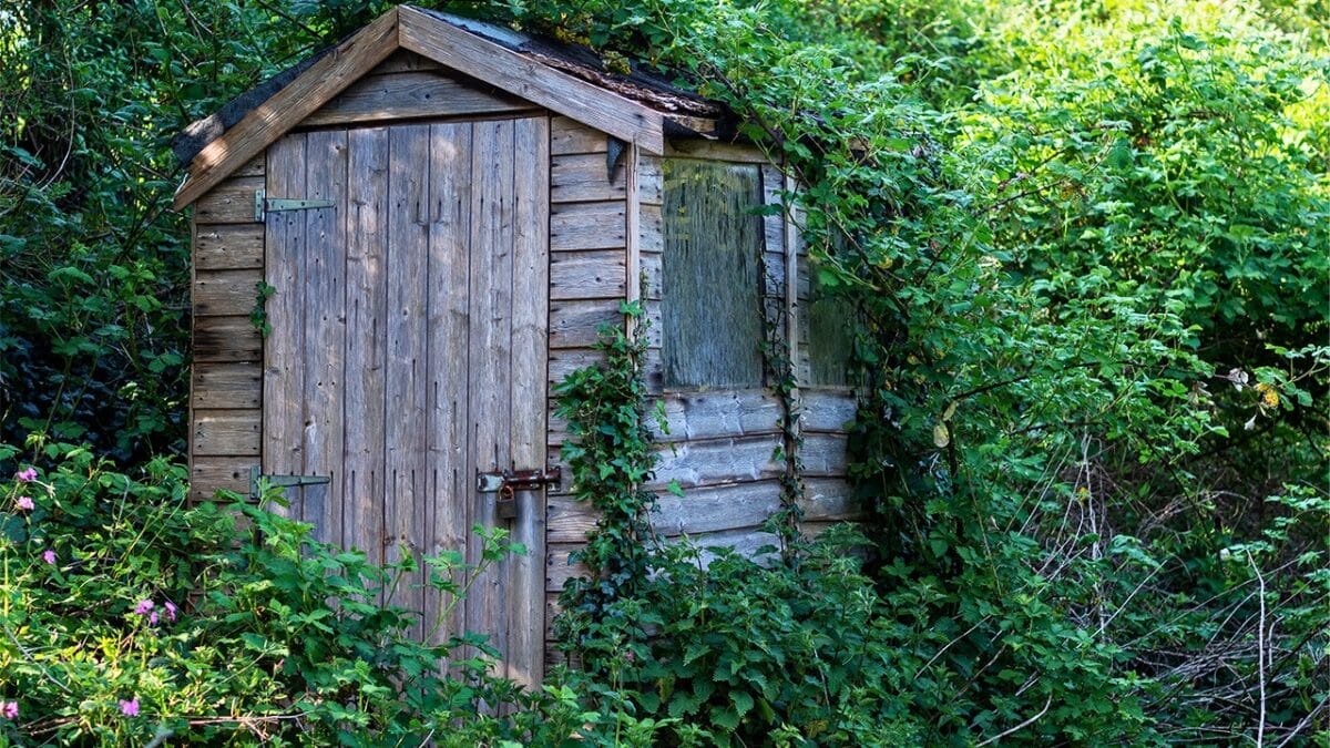 20 Things to Cleanup For Your Garden’s Fresh Start - old garden shed ss1746212366