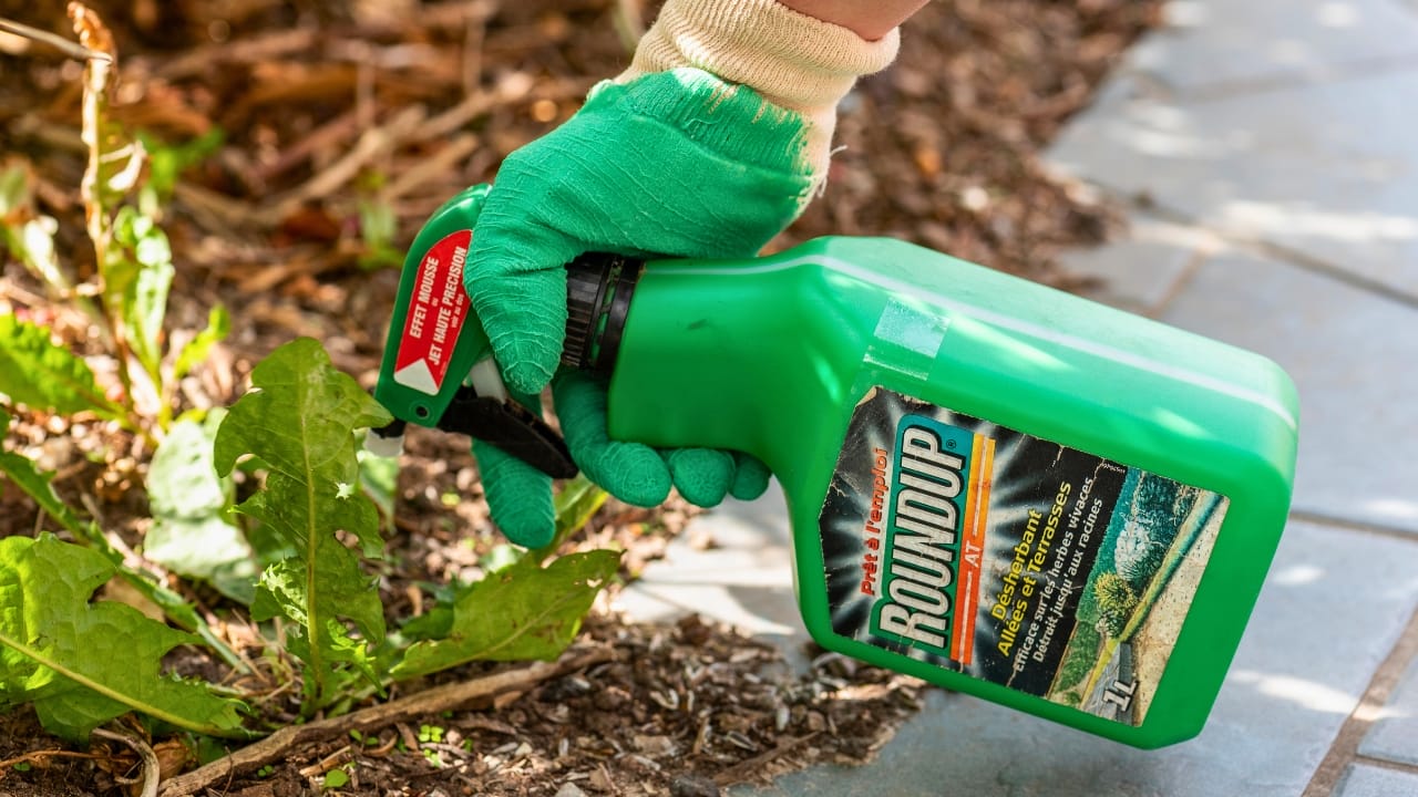 Bayer Faces Mounting Pressure Over Roundup Cancer Lawsuits - roundup dp208864030