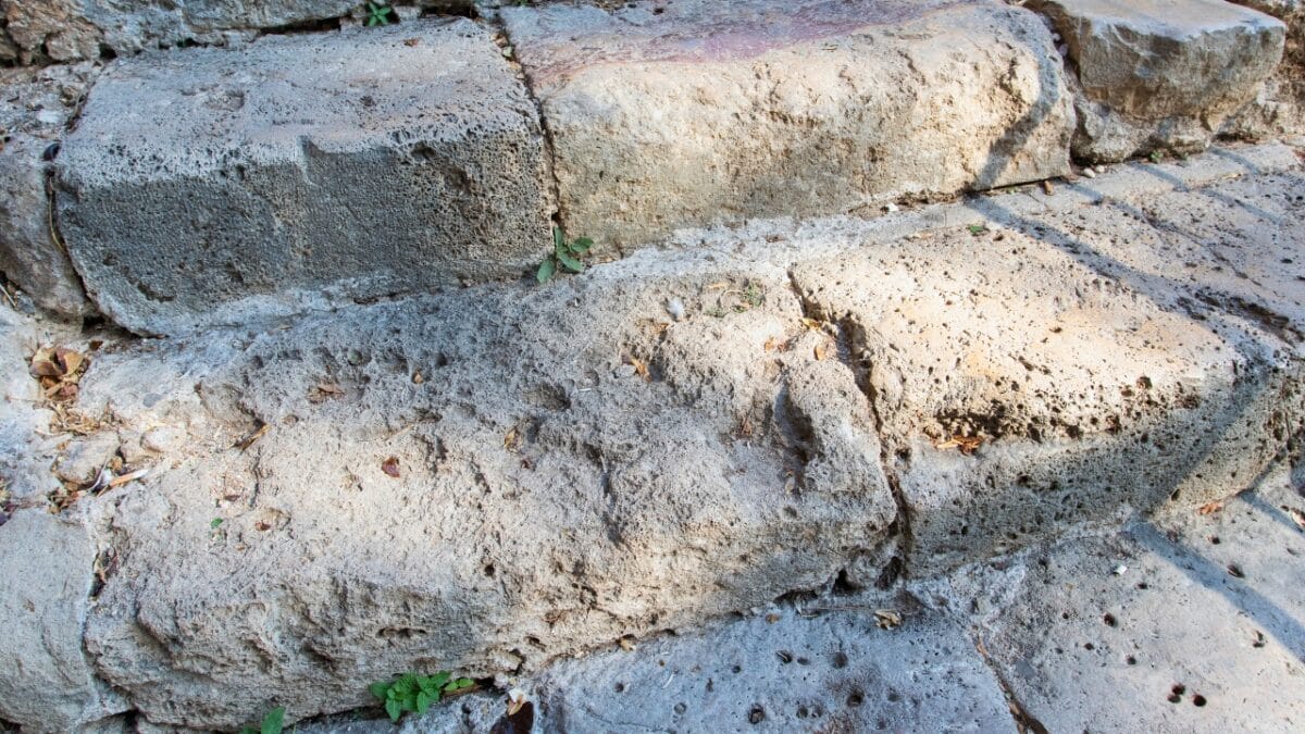20 Things to Cleanup For Your Garden’s Fresh Start - steps concrete wall dp520863492