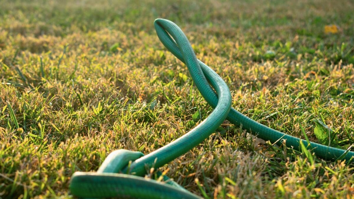 20 Things to Cleanup For Your Garden’s Fresh Start - tangled garden hose ss1842864418