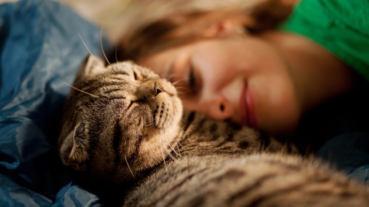 Cat’s Intuition: Offering Comfort & Companionship in Times of Loss - CAT WITH HAPPY HUMAN dp18080797