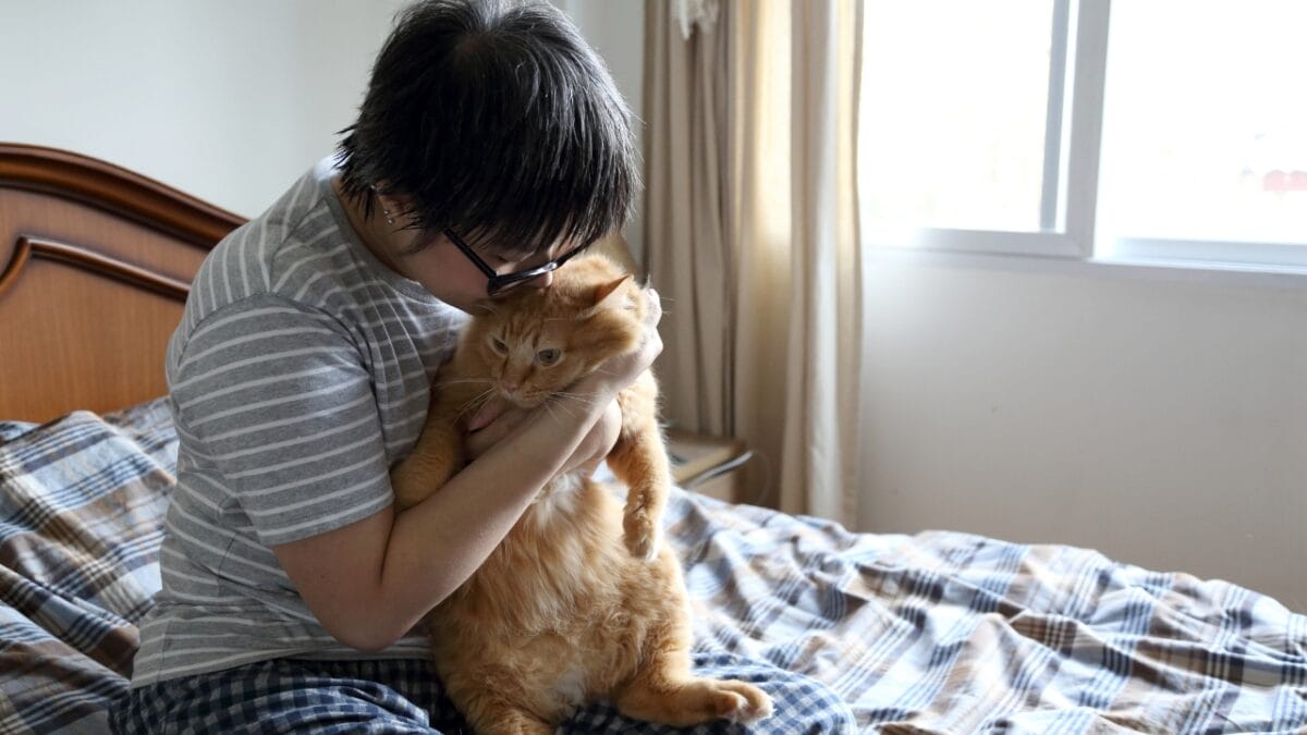 Cat’s Intuition: Offering Comfort & Companionship in Times of Loss - Cat emotion dp507619986
