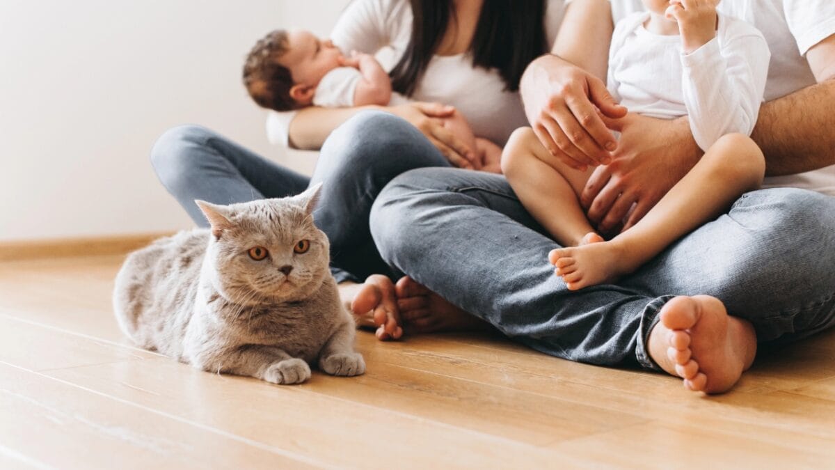 Cat’s Intuition: Offering Comfort & Companionship in Times of Loss - Strengthen the bond dp196882104