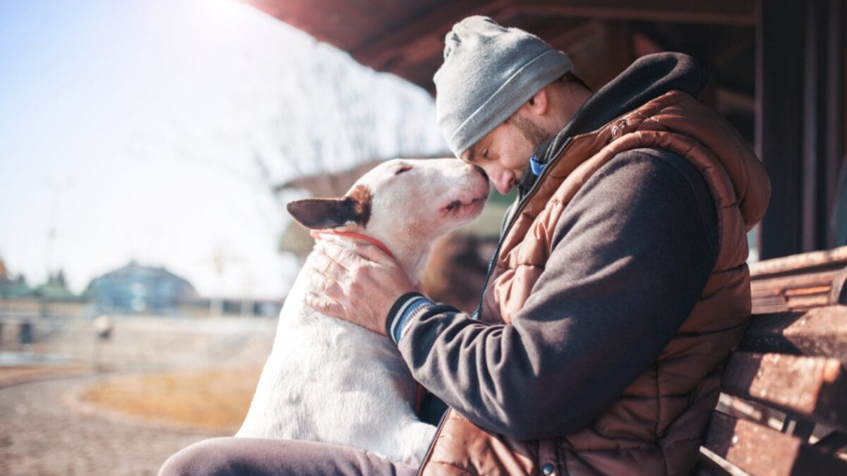 10 Things About Bull Terriers Most People Don't Know - bull terrier with owner ss1172791906