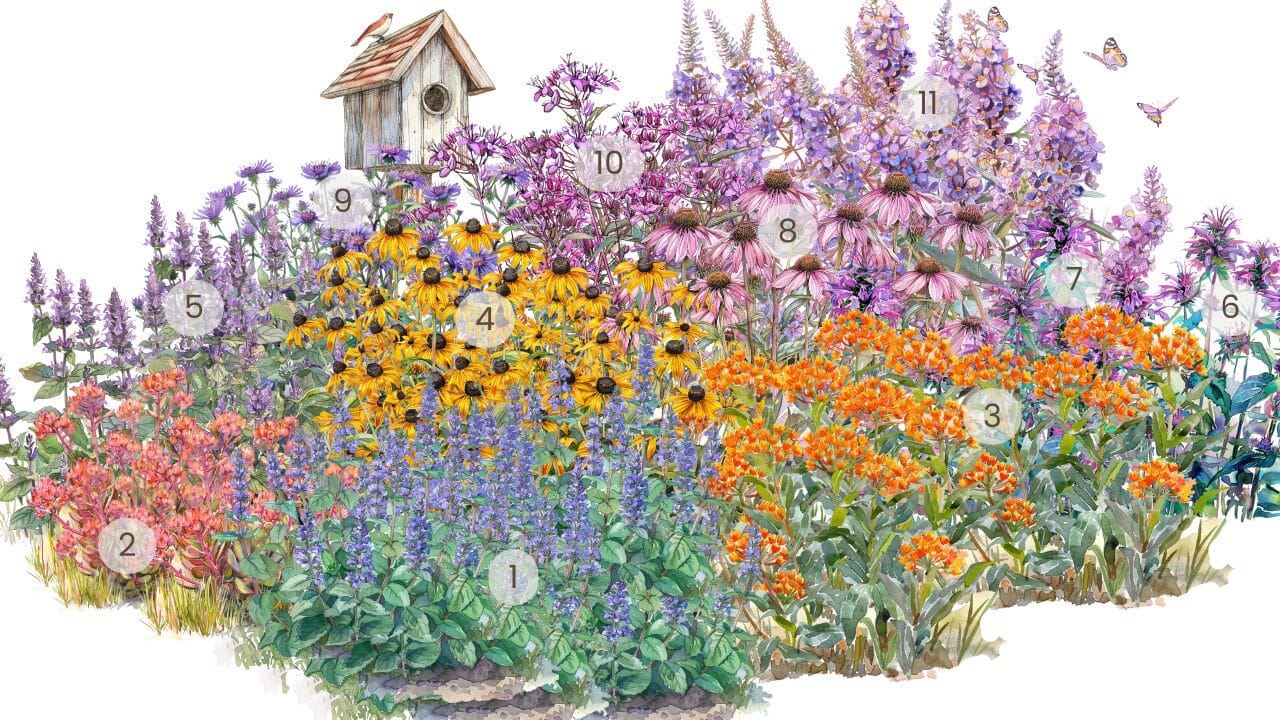 How to Create a No-Fuss Bird & Butterfly Garden