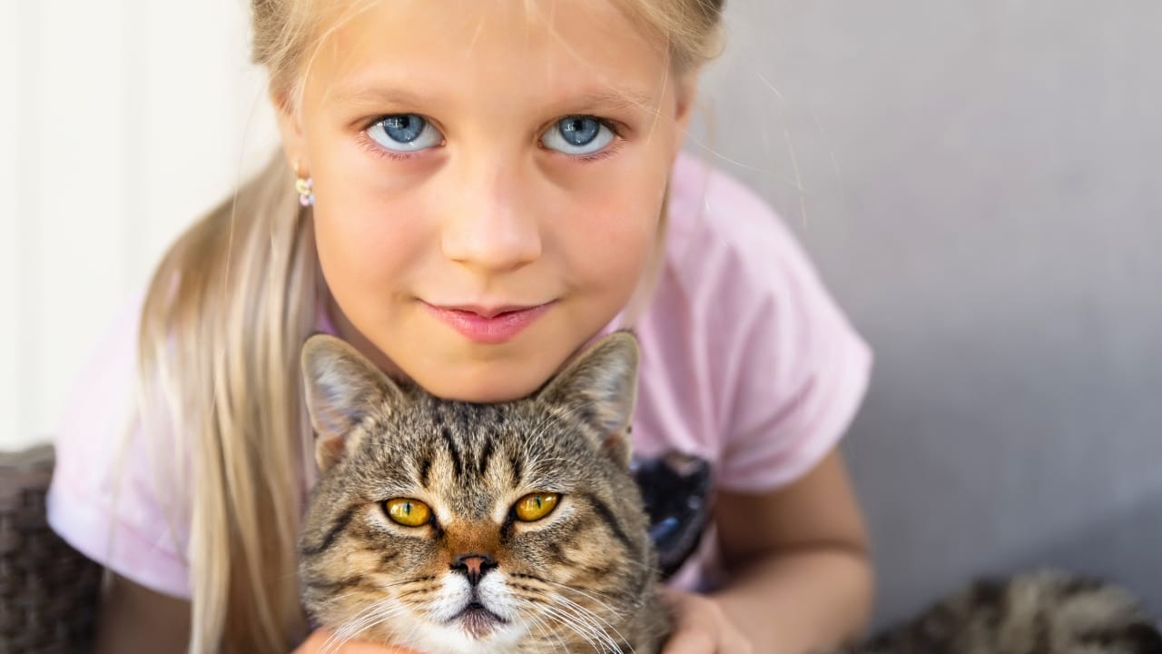 9 Telltale Signs Your Cat Has Your Back - cat gaurding girl dp441890894