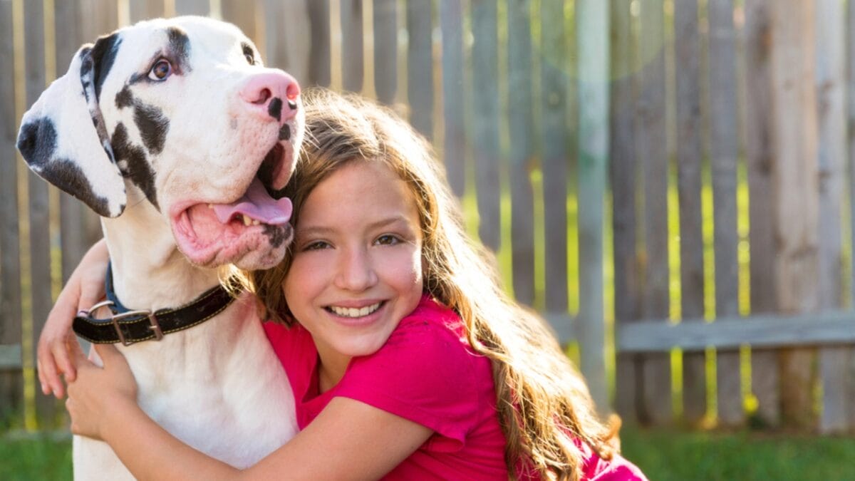 10 Things About Great Danes That Set Them Apart - child hugging great dane dog dp57785019
