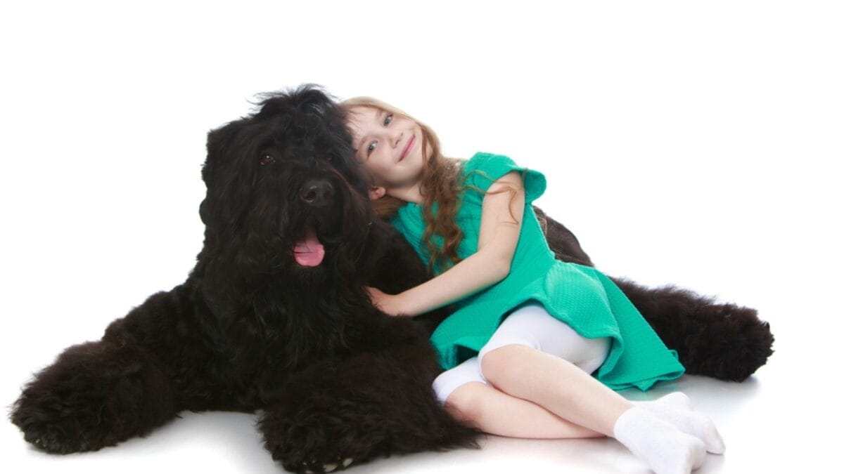 From Soviet Guards to Family Protectors: Black Russian Terriers - child hugging russian dog ss479471488
