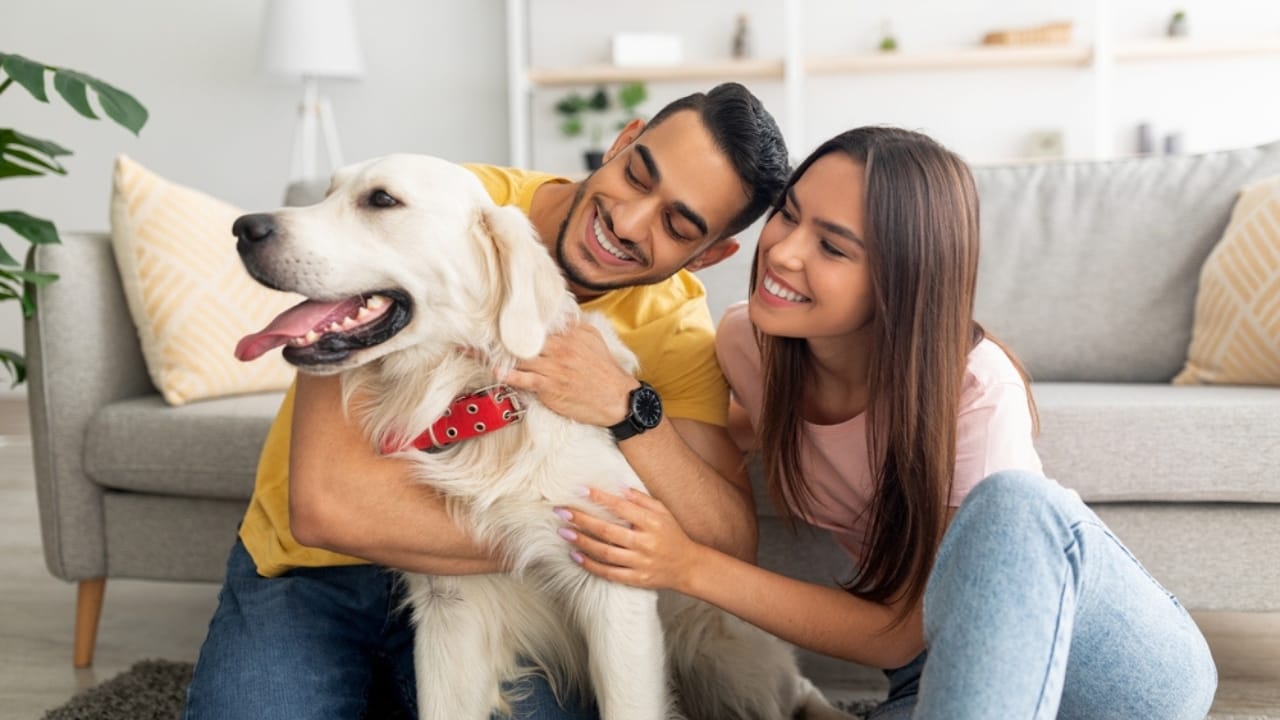 10 Items Every Labrador Retriever Owner Should Invest In - couple hugging labrador retriever ss2040640154
