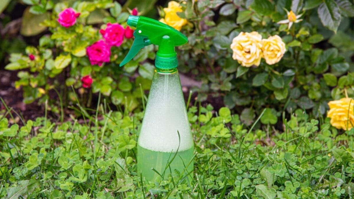 Why Irish Spring Soap? 10 Reasons Gardeners Swear By It - deters insect ss2148126093