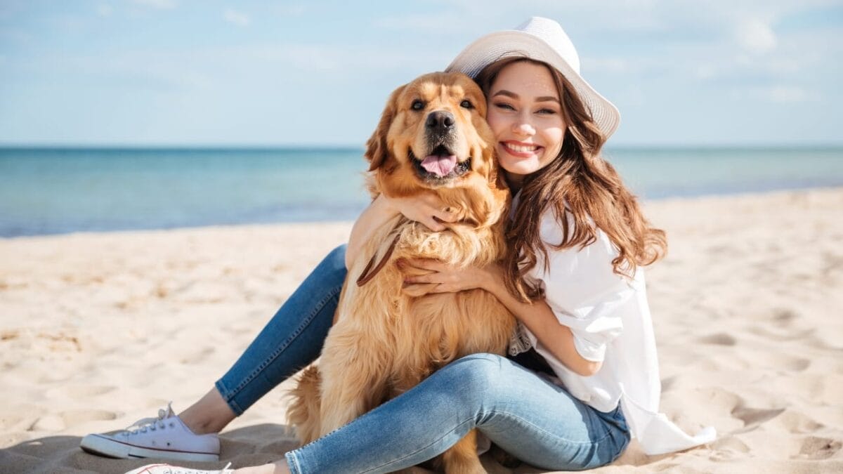 20 Unforgettable Experiences for Your Dog's Bucket List - dog beach ss454107526
