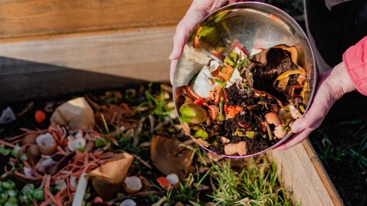 15 Ways Apple Cider Vinegar Can Banish Dirt, Grime & Odors in Your Home - garbage compost coffee grounds ss2422371039
