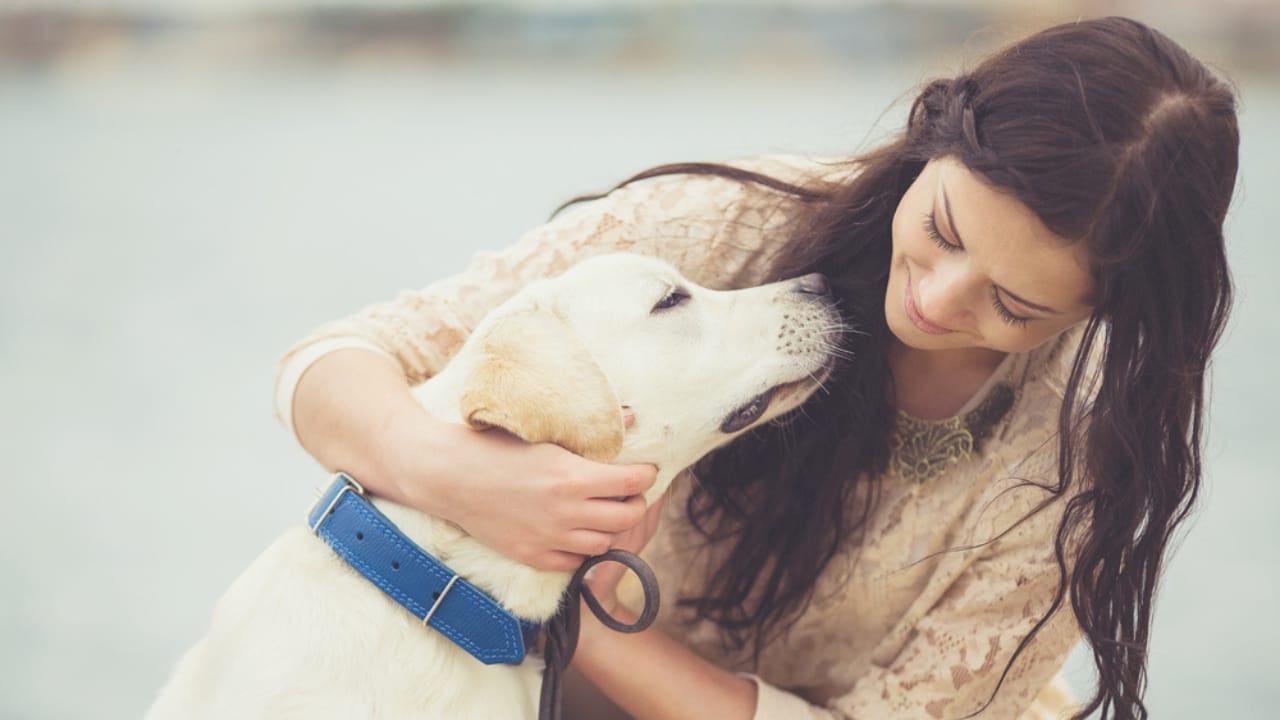7 Most Gentle Dog Breeds & Why They're Beloved - gentle dog ss134340365