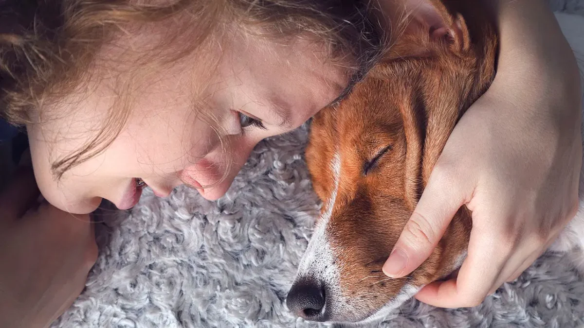 Purebreds vs. Mutts: 27,000 Dog Study Aims to End the Debate - girl crying over dog dp248361140