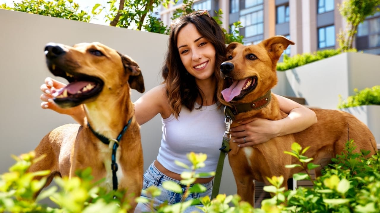 Find Your Perfect Pet: Discover the Best Dog Breed for You - happy dogs 2320067799