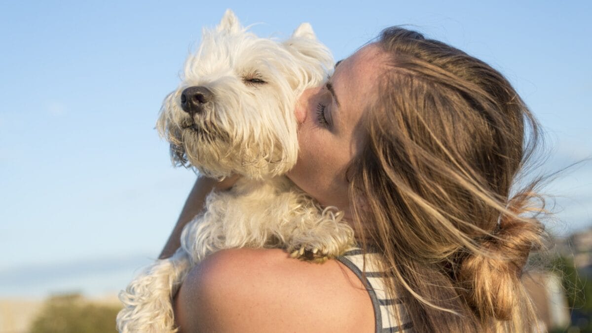 12 Reasons Behind Your Pup's Kisses - kissing white dog ss310795937