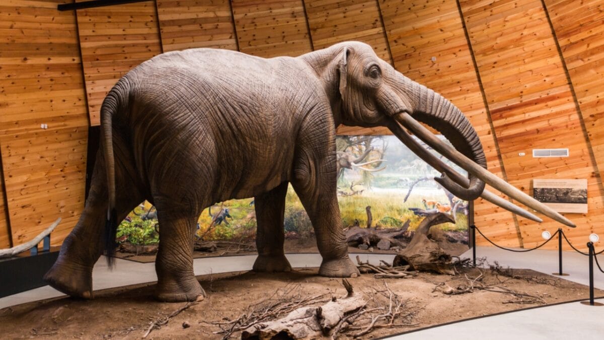 The Lazarus Effect: Could These 15 Extinct Creatures Walk the Earth Again? - mastodon woolly giants dp68229361