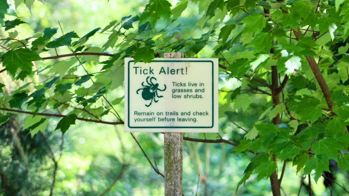 7 U.S. States Facing a Tick Population & Lyme Disease Surge - signange warning about ticks ss2007968783