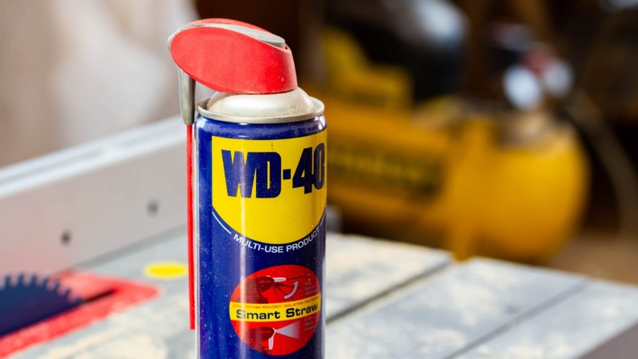 Rat Wd How to Use WD-40 to Keep Mice & Rats Out of Your Home