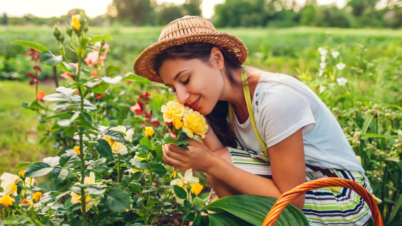 A Look at 10 Folklore-Inspired Gardening Traditions & Their Origins - woman smelling flowers in garden ss1786223270