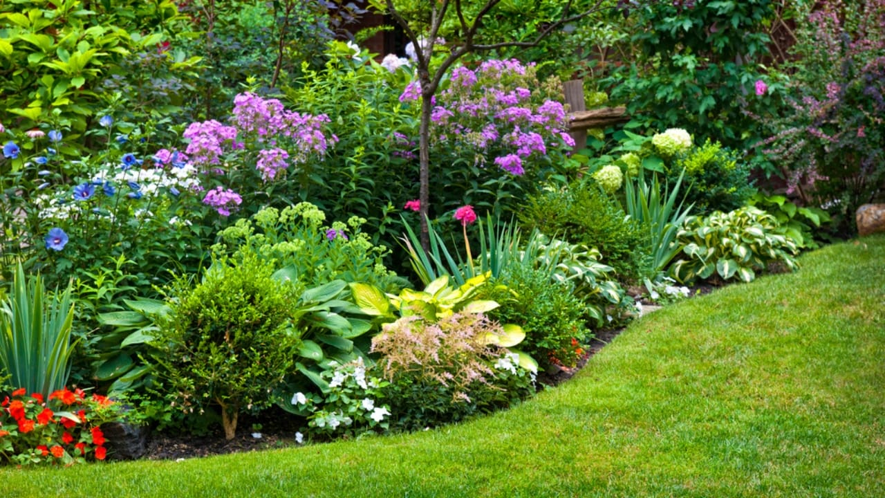 Say Goodbye to Garden Chores with These 20 Maintenance-Free Front Yard Ideas  - yard dp16942107