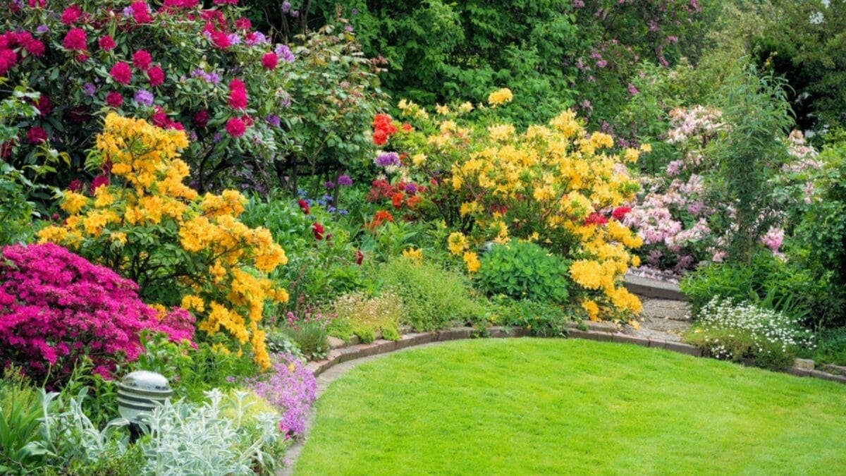 12 Budget-Friendly Home Renovations That Offer the Highest Returns - Beautiful Garden ss282539564