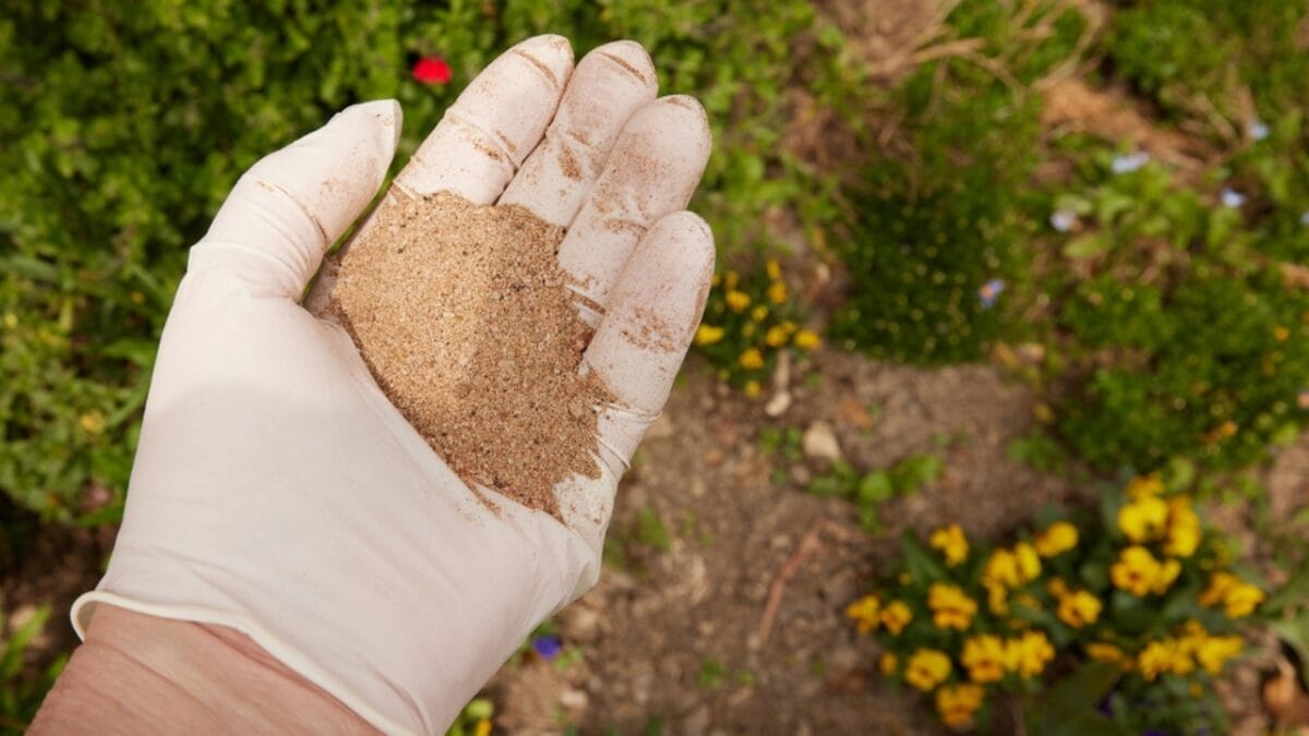 18 Brilliant Ways to Banish Groundhogs from Your Garden - Blood Meal Fertilizer ss2152284187