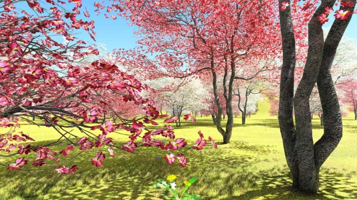 Say Goodbye to Garden Chores with These 20 Maintenance-Free Front Yard Ideas  - Flowering Dogwood dp169073508